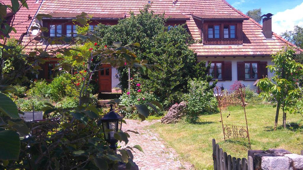 Schweizerblick Apartment Hänner Екстериор снимка